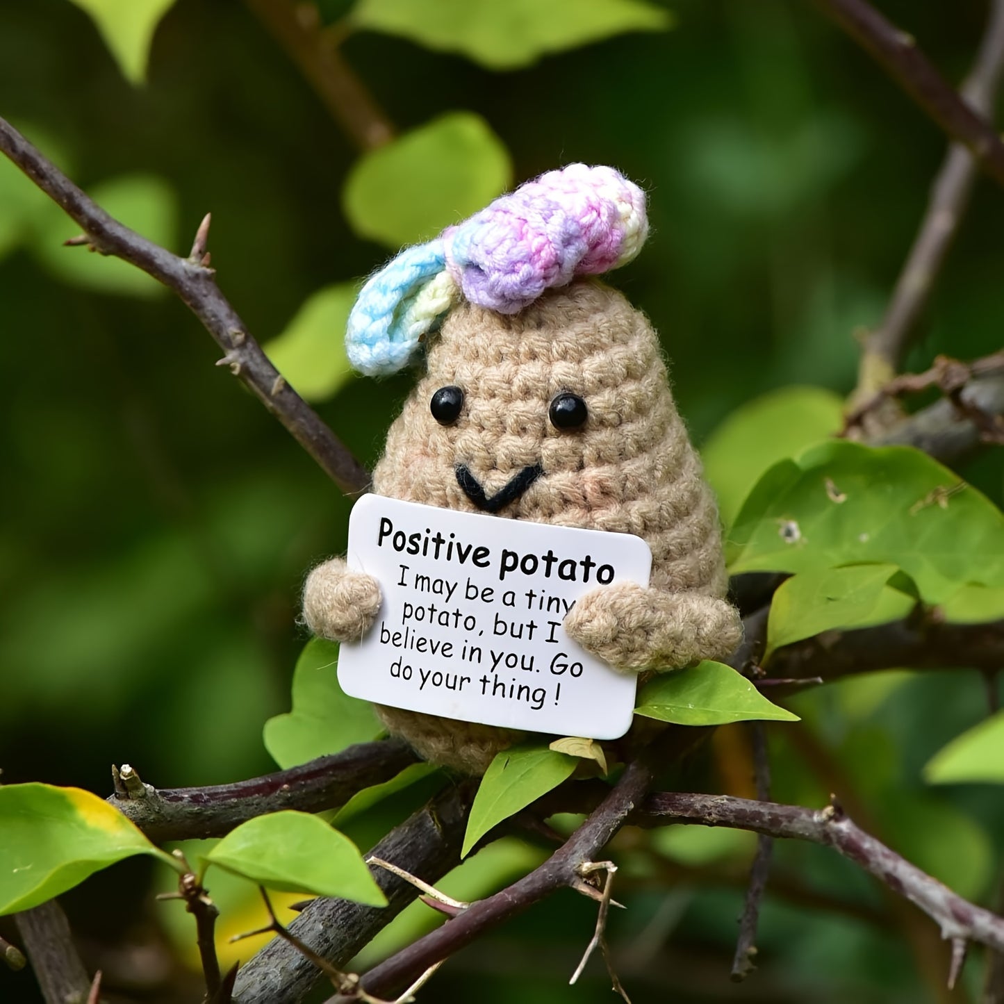 positive potato